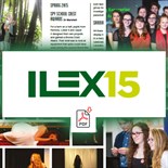 Ilex15sq