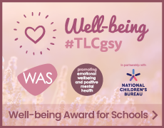 Wellbeing Award for Schools