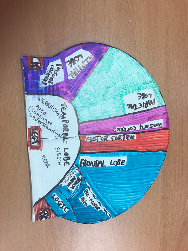 Upper Sixth Biopsychology 3